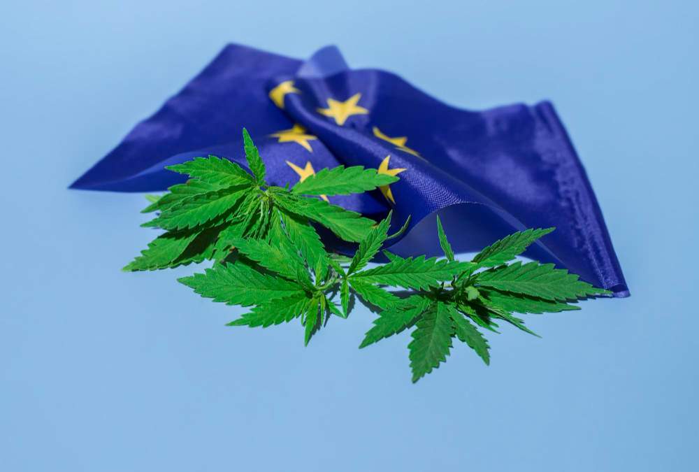 CBD izdelki CBD izdelki